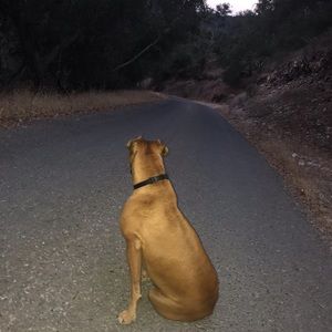 Meet your Posher, Haile